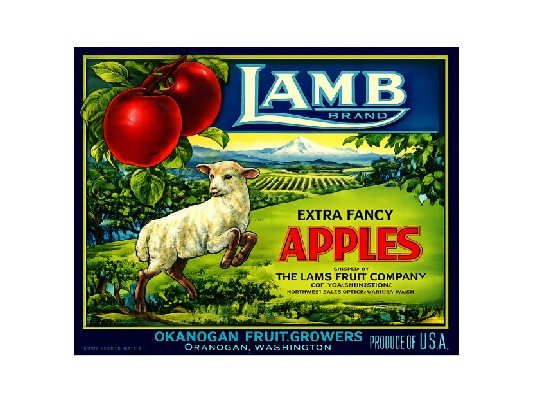 MS143 Crate Label Vintage Style Sign Metal Wall Deco Apples Extra Fancy