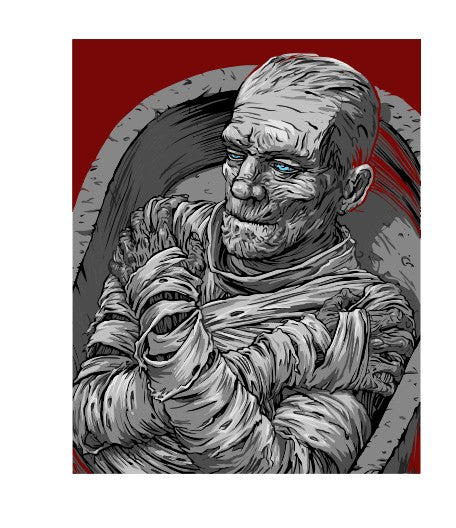 MS279 Vintage Movie Metal Sign The Mummy