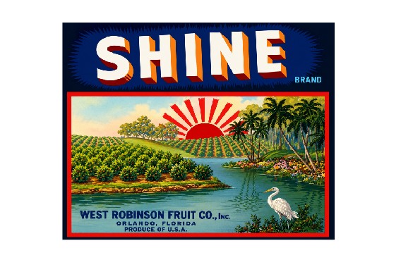 MS91 Crate Label Vintage Style Sign Metal Wall Deco Fruit