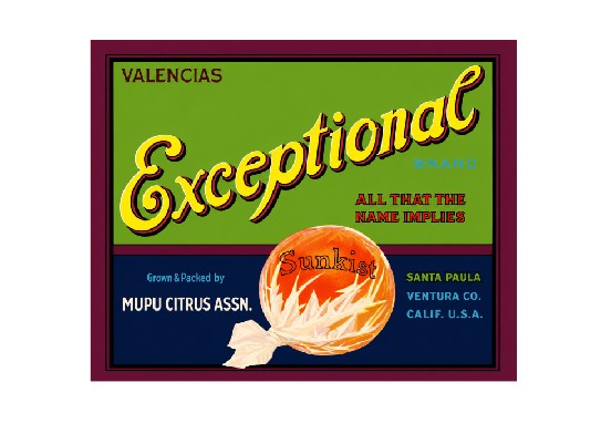 MS120 Crate Label Vintage Style Sign Metal Wall Oranges Sunkist Exceptional