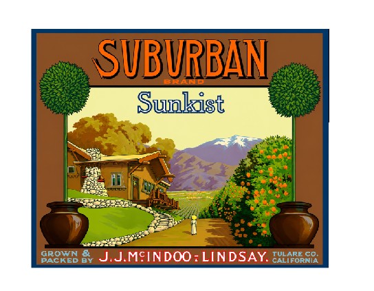 MS158 Crate Label Vintage Style Sign Metal Wall Deco Sunkist Orange
