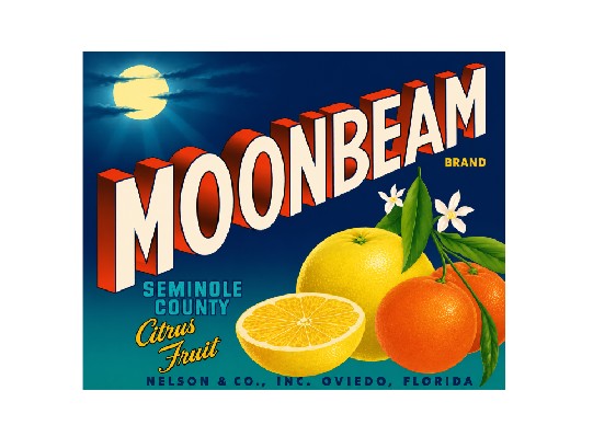MS142 Crate Label Vintage Style Sign Metal Wall Deco Citrus MoonBeam Brand