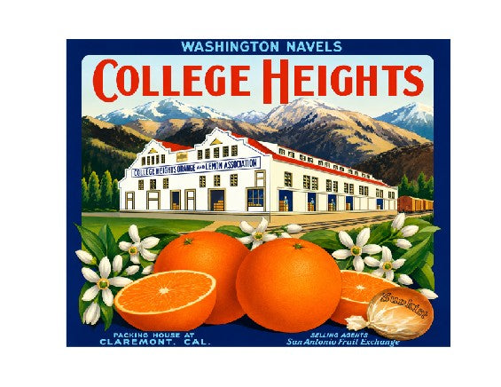 MS155 Crate Label Vintage Style Sign Metal Wall Deco Oranges Washington Navels
