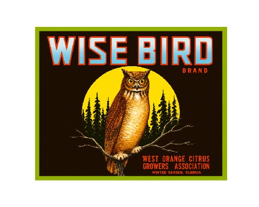 MS112 Crate Label Vintage Style Sign Metal Wall Deco Orange Citrus Wise Bird