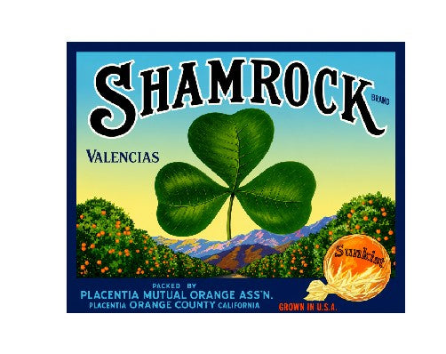MS109 Crate Label Vintage Style Sign Metal Wall Deco Oranges Shamrock