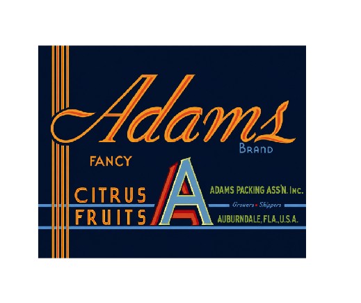 MS828 Vintage Style Metal Sign Citrus Fruit