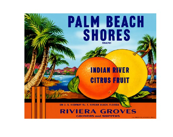 MS151 Crate Label Vintage Style Sign Metal Wall Deco Citrus Fruits Palm Beach