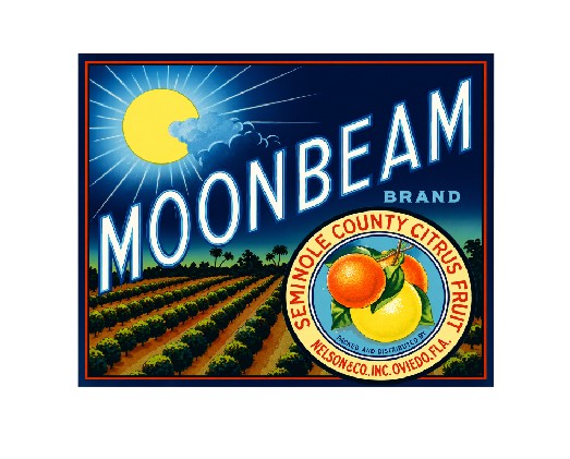 MS111 Crate Label Vintage Style Sign Metal Wall Deco Citrus Fruit Moon Beam