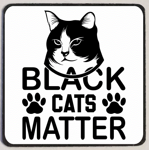 M226 Black Cats Matter Refrigerator Magnets - Iris Fashion Jewelry