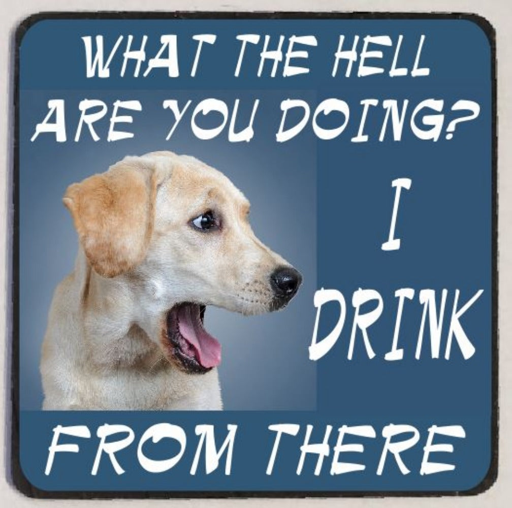 M73 I Drink From There - Iris Fashion Jewelry