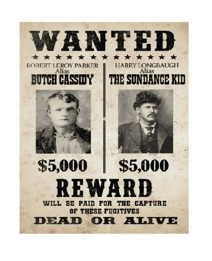 MS494 Vintage Style Metal Sign Wanted Cassidy Sundance