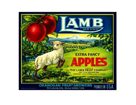MS143   Crate Label Vintage Style Sign Metal Wall Deco Apples Extra Fancy
