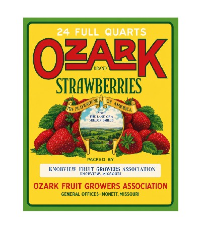 MS128  Crate Label Vintage Style Sign Metal Wall Deco Strawberries Ozark MS128