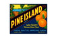 MS92 Crate Label Vintage Style Sign Metal Wall Deco Oranges