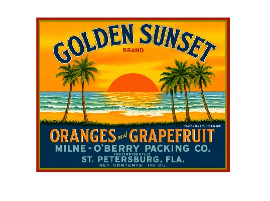 MS119    Crate Label Vintage Style Sign Metal Wall Deco Oranges and Grapefruit Golden