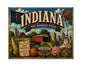MS607 Vintage Style Metal Sign Indiana