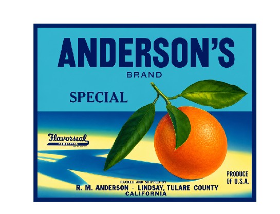 MS152 Crate Label Vintage Style Sign Metal Wall Deco Oranges Anderson's
