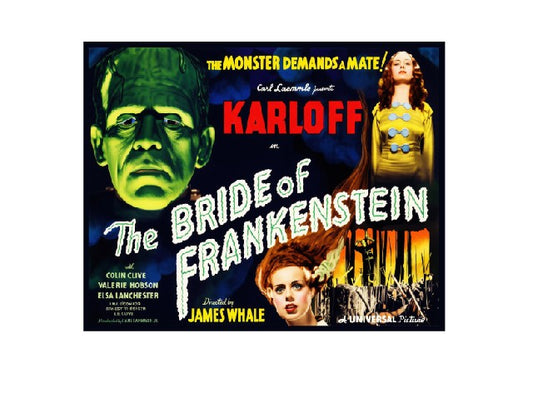 Vintage Style Metal Sign Horror Film The Bride of Frankenstein MS893