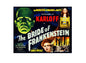 Vintage Style Metal Sign Horror Film The Bride of Frankenstein MS893