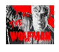 MS286 Vintage Movie Metal Sign The Wolfman