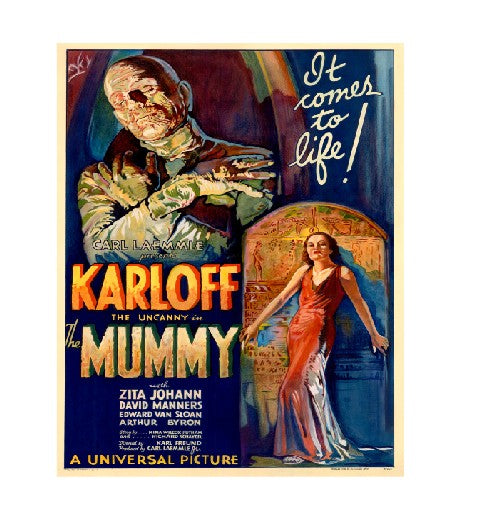 MS278 Vintage Movie Metal Sign The Mummy