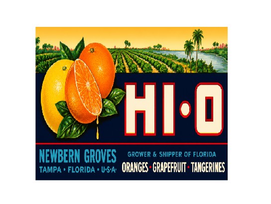 MS820 Vintage Style Metal Sign Citrus Fruit