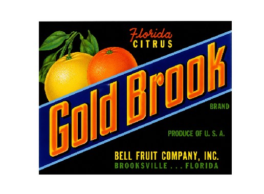 MS821 Vintage Style Metal Sign Florida Citrus Fruit