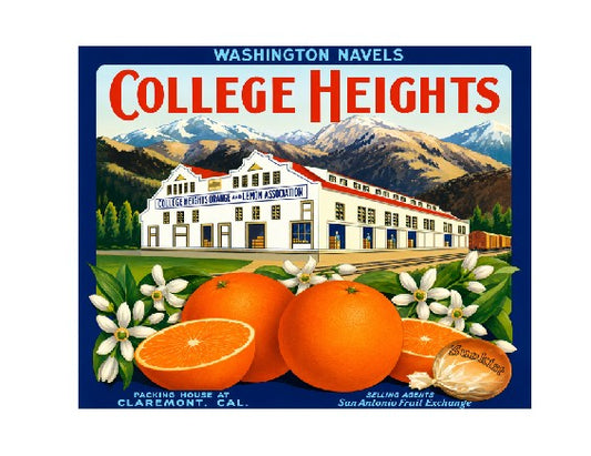 MS155  Crate Label Vintage Style Sign Metal Wall Deco Oranges Washington Navels