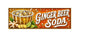 SS43 Metal Sign Ginger Beer Soda