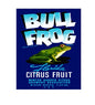 MS129   Crate Label Vintage Style Sign Metal Wall Deco Citrus Fruit Bull Frog