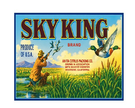 MS137 Crate Label Vintage Style Sign Metal Wall Deco Citrus Packing Sky King
