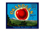MS141 Crate Label Vintage Style Sign Metal Wall Deco Apples Okanogan Brand