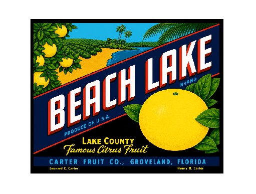 MS100  Crate Label Vintage Style Sign Metal Wall Deco Citrus Fruit Beach Lake