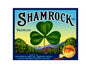 MS109  Crate Label Vintage Style Sign Metal Wall Deco Oranges Shamrock
