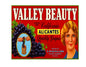 MS124    Crate Label Vintage Style Sign Metal Wall Grapes