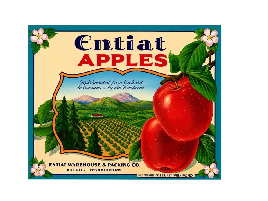 MS145  Crate Label Vintage Style Sign Metal Wall Deco Apples Entiat