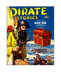 MS631 Vintage Style Metal Sign Pirate