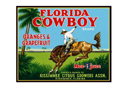 MS86 Crate Label Vintage Style Sign Metal Wall Decor Florida Cowboy 2