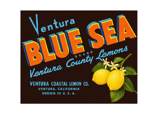 MS135     Crate Label Vintage Style Sign Metal Wall Deco Lemons Blue Sea