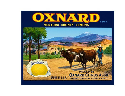 MS116   Crate Label Vintage Style Sign Metal Wall Lemon Oxnard
