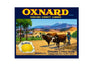 MS116   Crate Label Vintage Style Sign Metal Wall Lemon Oxnard