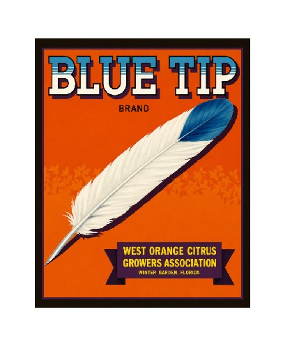 MS834 Vintage Style Metal Sign Citrus Growers