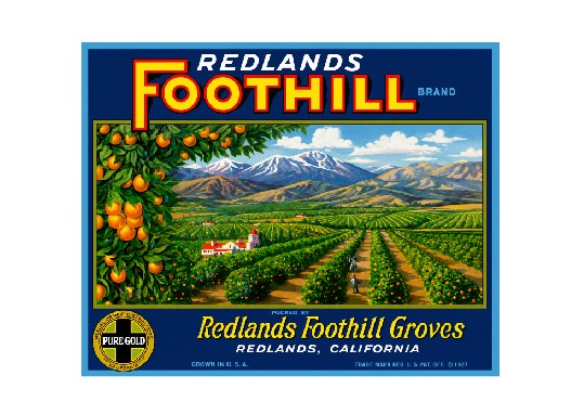 MS97 Crate Label Vintage Style Sign Metal Wall Deco Orange Groves