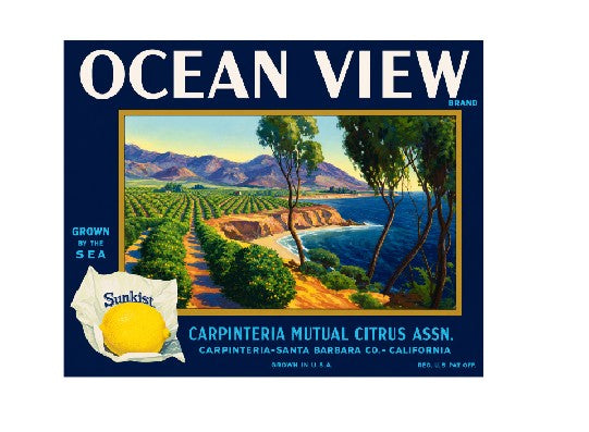 MS132   Crate Label Vintage Style Sign Metal Wall Deco Lemon Ocean View