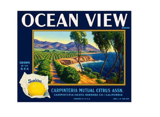 MS132   Crate Label Vintage Style Sign Metal Wall Deco Lemon Ocean View
