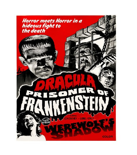 MS855 Vintage Style Metal Sign Dracula