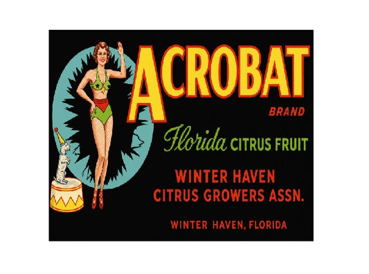 MS829 Vintage Style Metal Sign Citrus Fruit