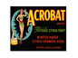 MS829 Vintage Style Metal Sign Citrus Fruit
