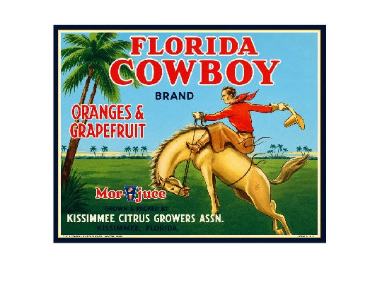 MS85  Crate Label Vintage Style Sign Metal Wall Decor Florida Cowboy