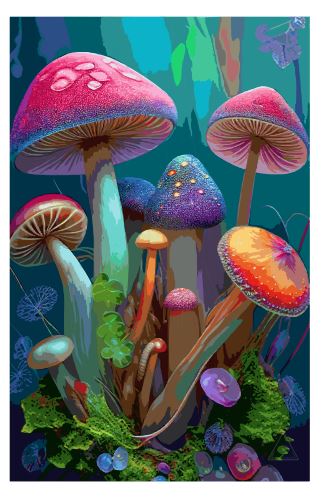 (A165) Magical Mushrooms Wall Art